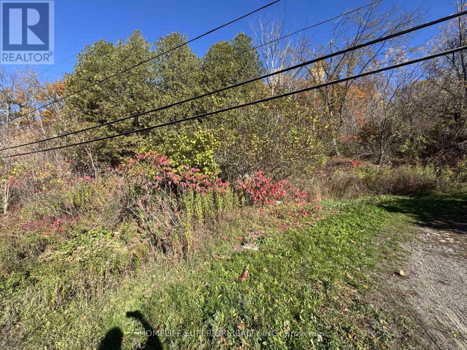 58 Main St, Marmora and Lake, ON K0K 2M0