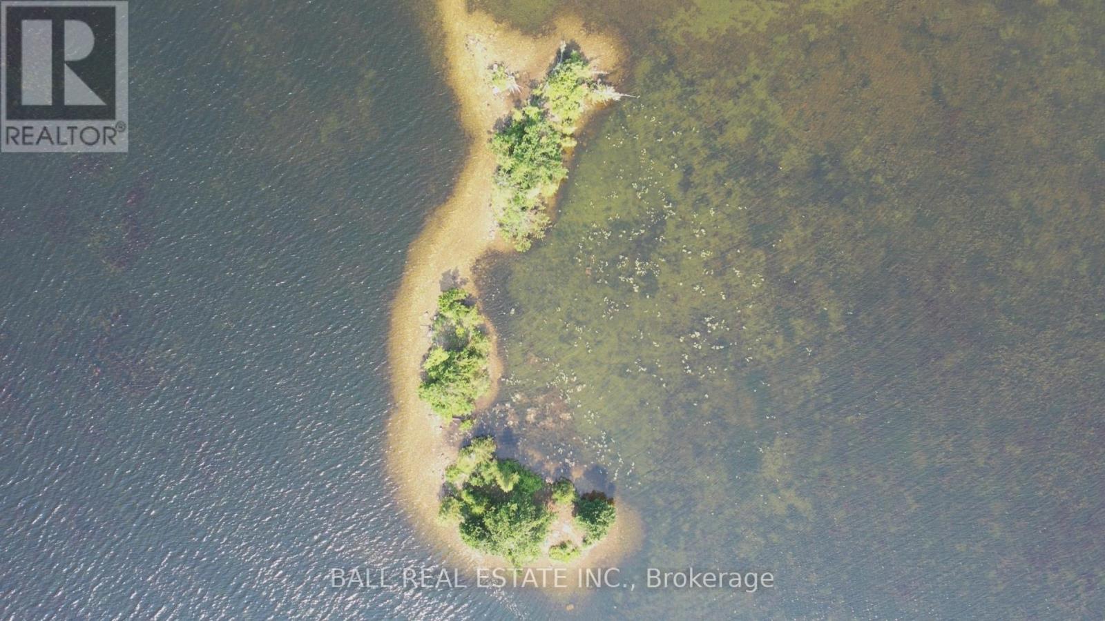 5 Island Dr, Kawartha Lakes, ON K0M 1C0