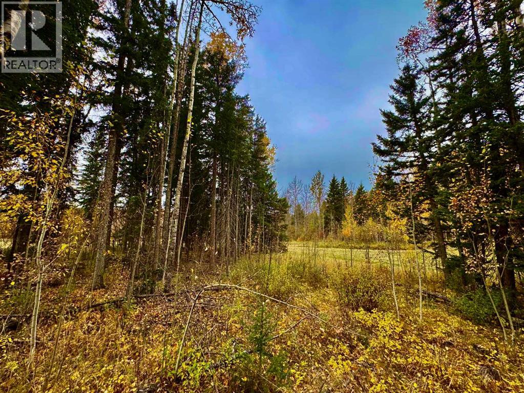 301 Valley View Dr, Rural Clearwater County, AB T4T 1A7