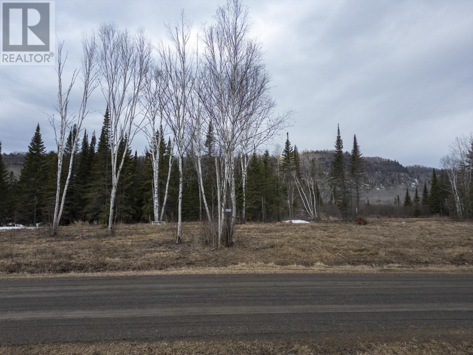 0 Milne Rd, Neebing, ON P7L 0A9