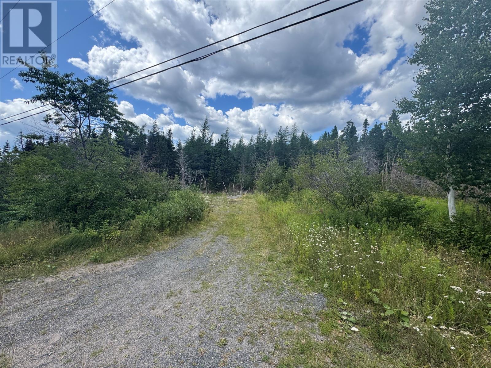 00 Snooks Harbour Rd, Elliots Cove, NL A5A 3A1