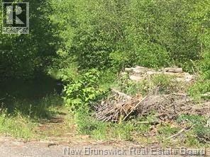 234 Flanagan Rd, Fredericton, NB E3C 2E8