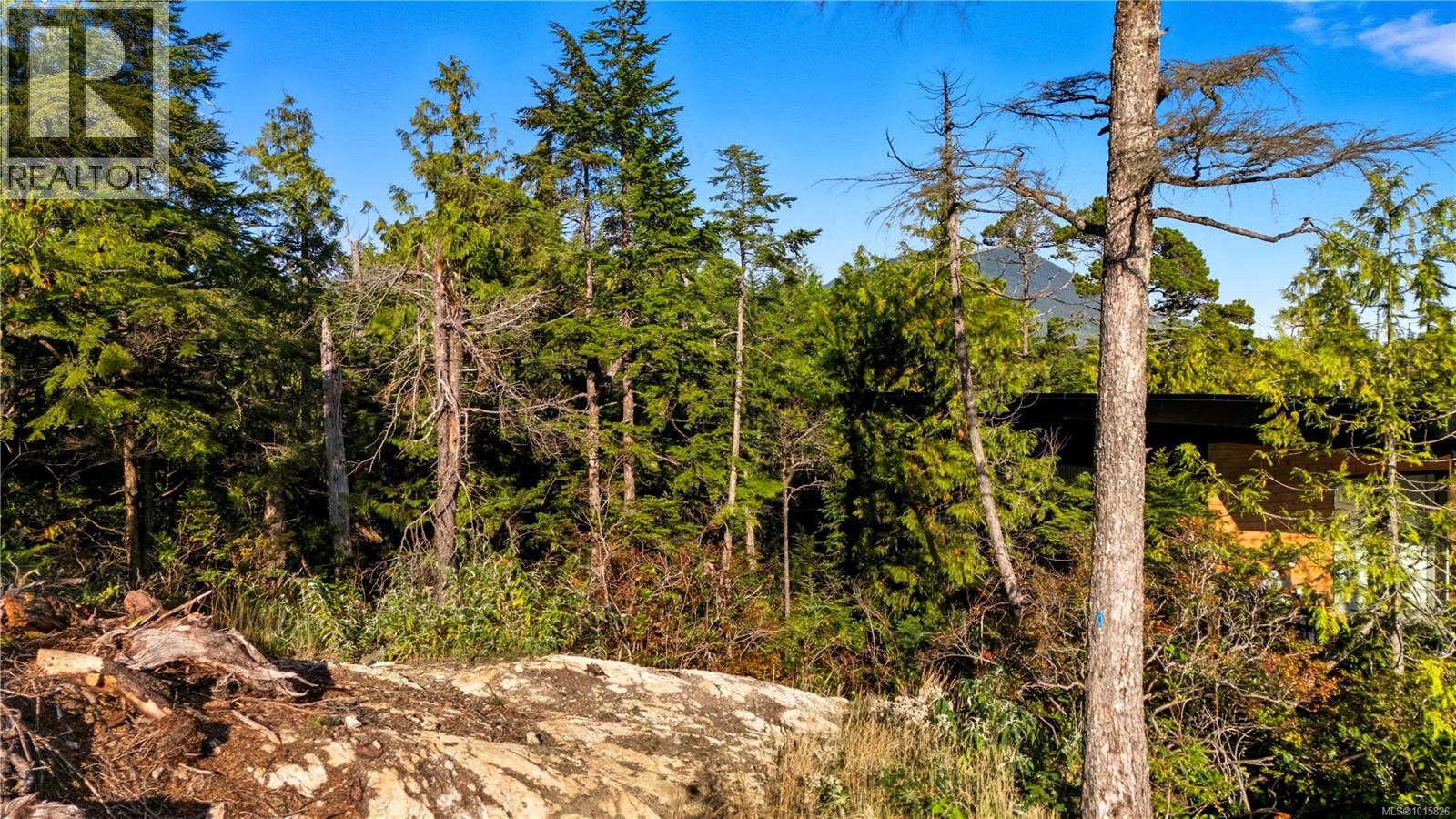 851 Lorne White Pl, Ucluelet, BC V0R 3A0