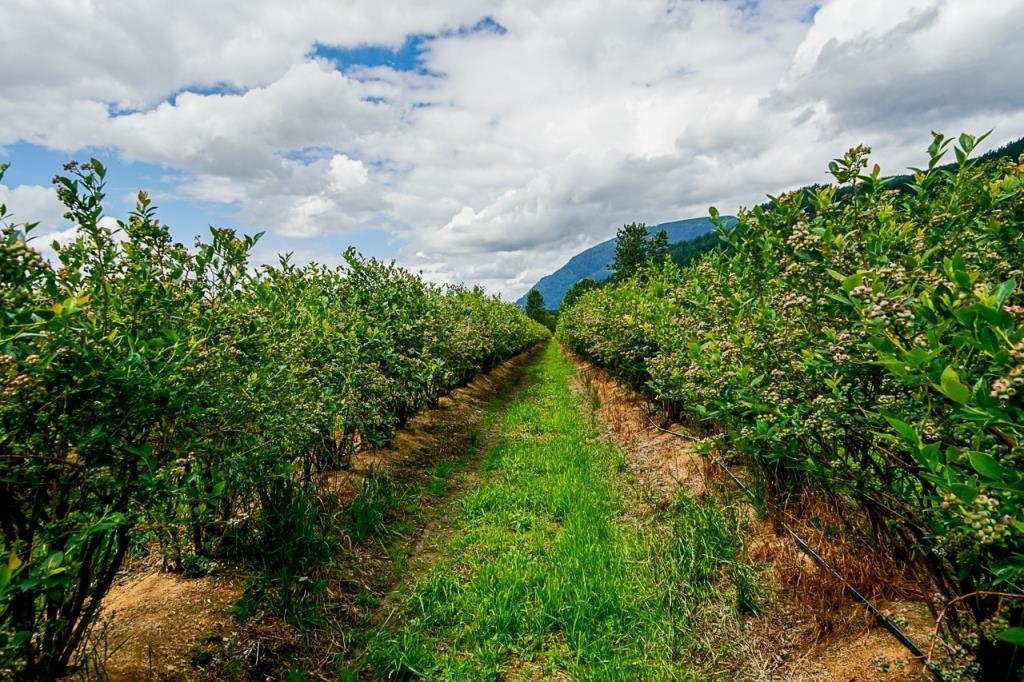 10ac Johnson Road, Mission, BC V0M 1G0