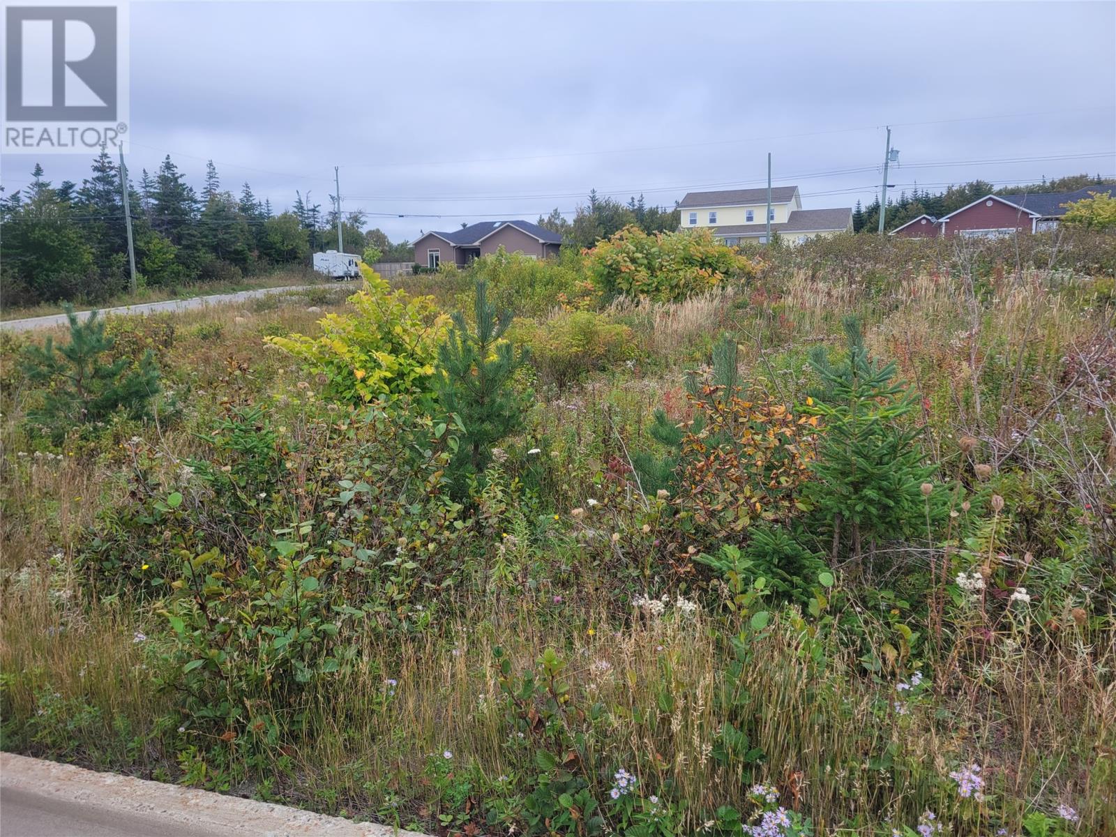 1 Ridgeview Ave, Stephenville, NL A2N 0B7