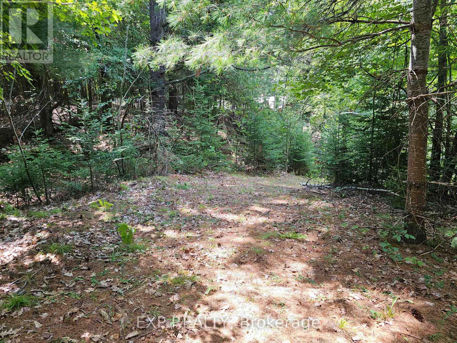 889 A Slate Falls Rd, Addington Highlands, ON K0H 1L0