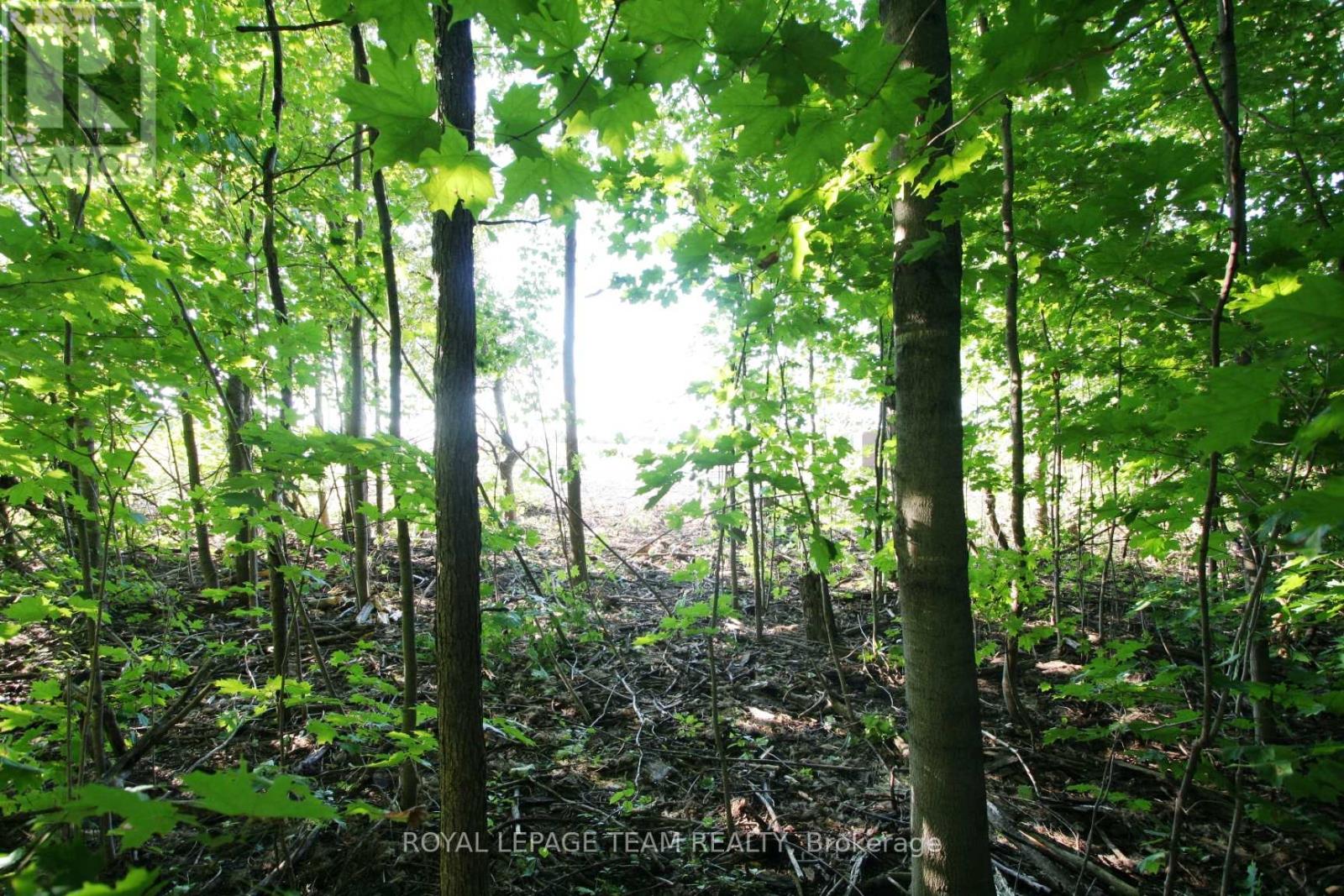 Ptlt31 Pleasant Valley Road, South Dundas, ON K0E 1W0