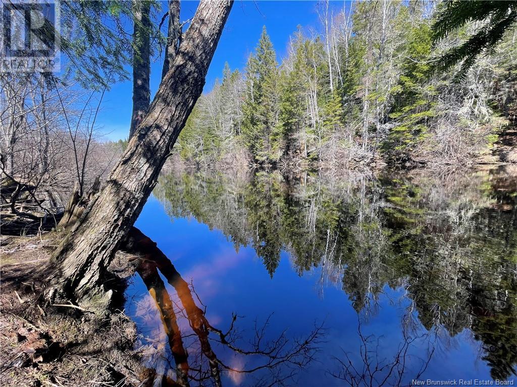 Lot Route 126, Rogersville, NB E4Y 2N8