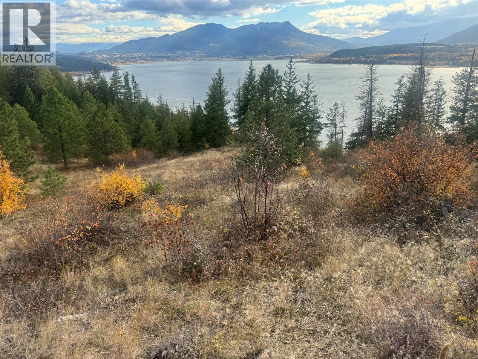 470 Sumac Rd, Tappen, BC V0E 2X1