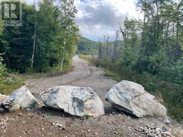 460 Route Unit Whites Rd, Gull Pond, NL A2N 2Y4