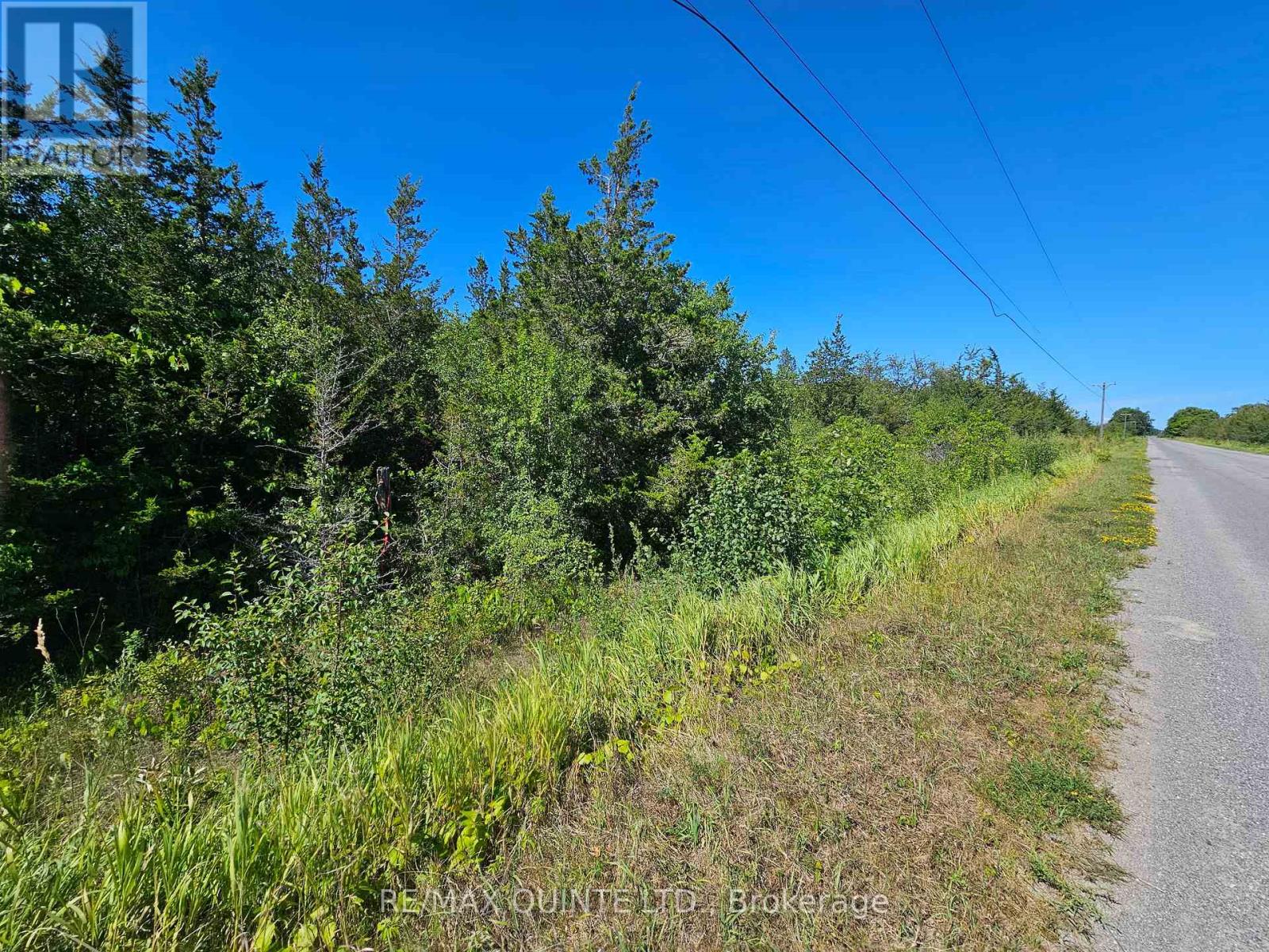 101 Royal Rd, Prince Edward County Athol Ward, ON K0K 2P0