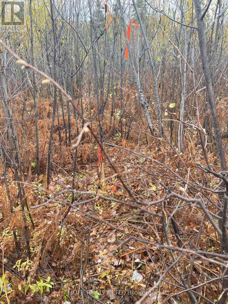 Lt 1 Con 6 54r-6390 Lot 1 Con 6 Marter Twp Road, Englehart Central Timiskaming, ON P0J 1H0