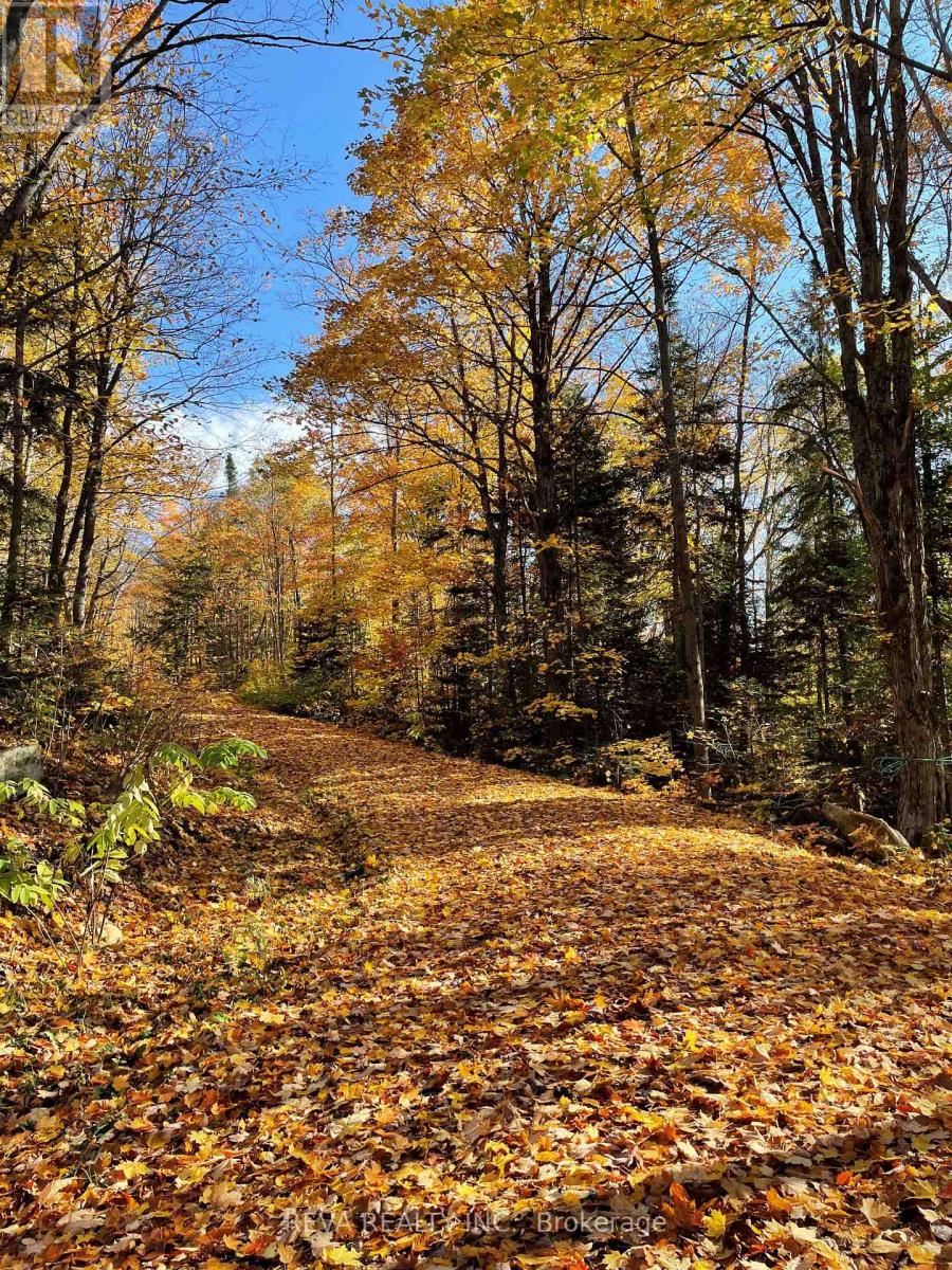 250 Lingenfelters Rd, Nipissing, ON P0H 2L0