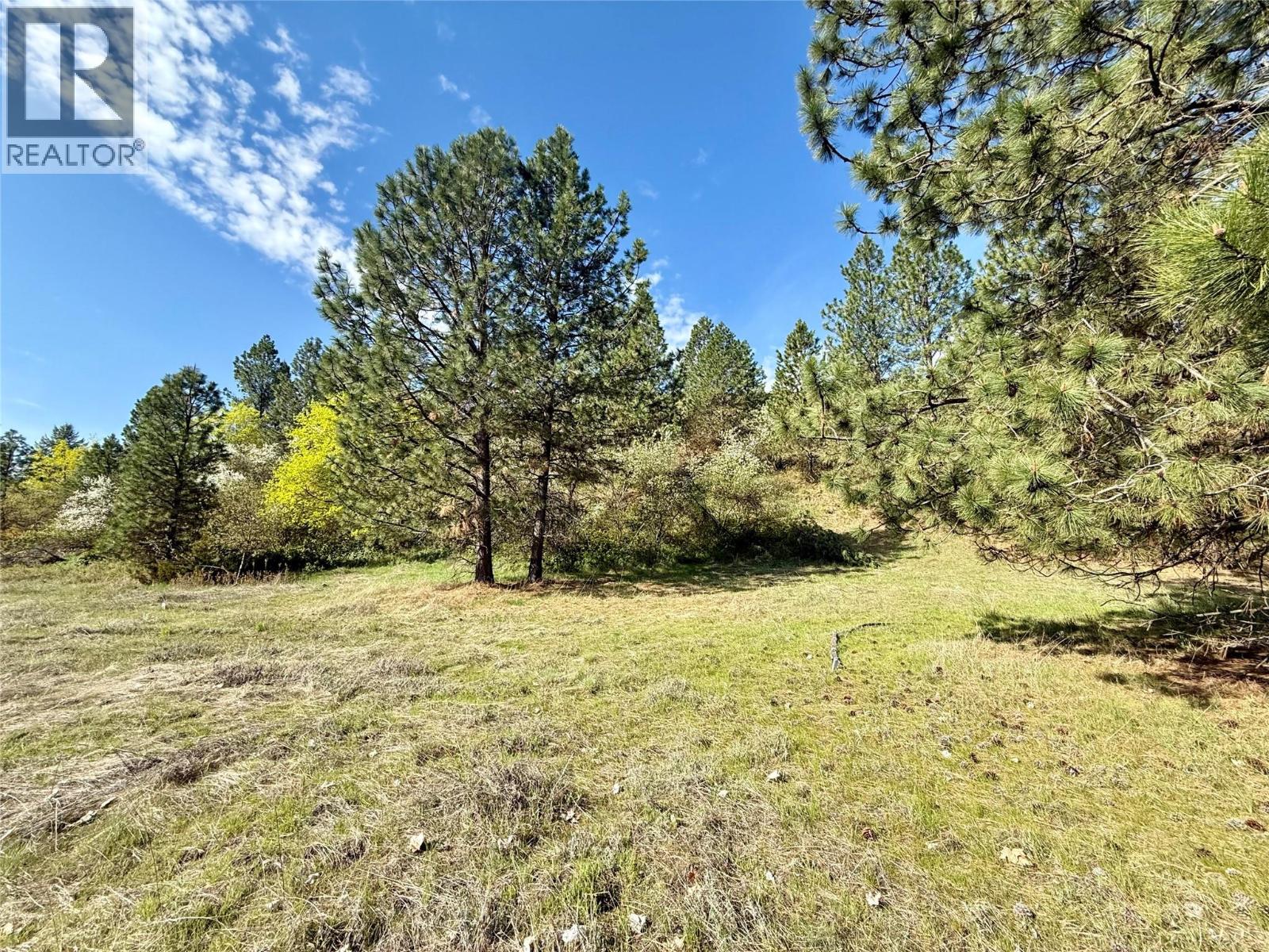 41 Highway W Lot Apt 4 Other W, Grand Forks, BC V0H 1H5