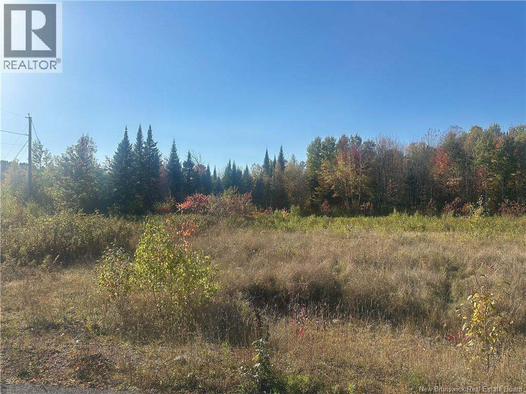 1 Crain Court #14, Bulls Creek, NB E7N 0B1