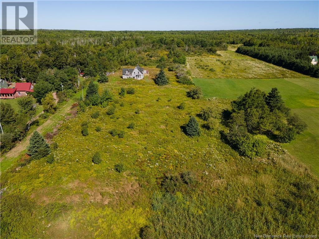 New Brunswick 960, Cape Spear, NB E4M 1R6