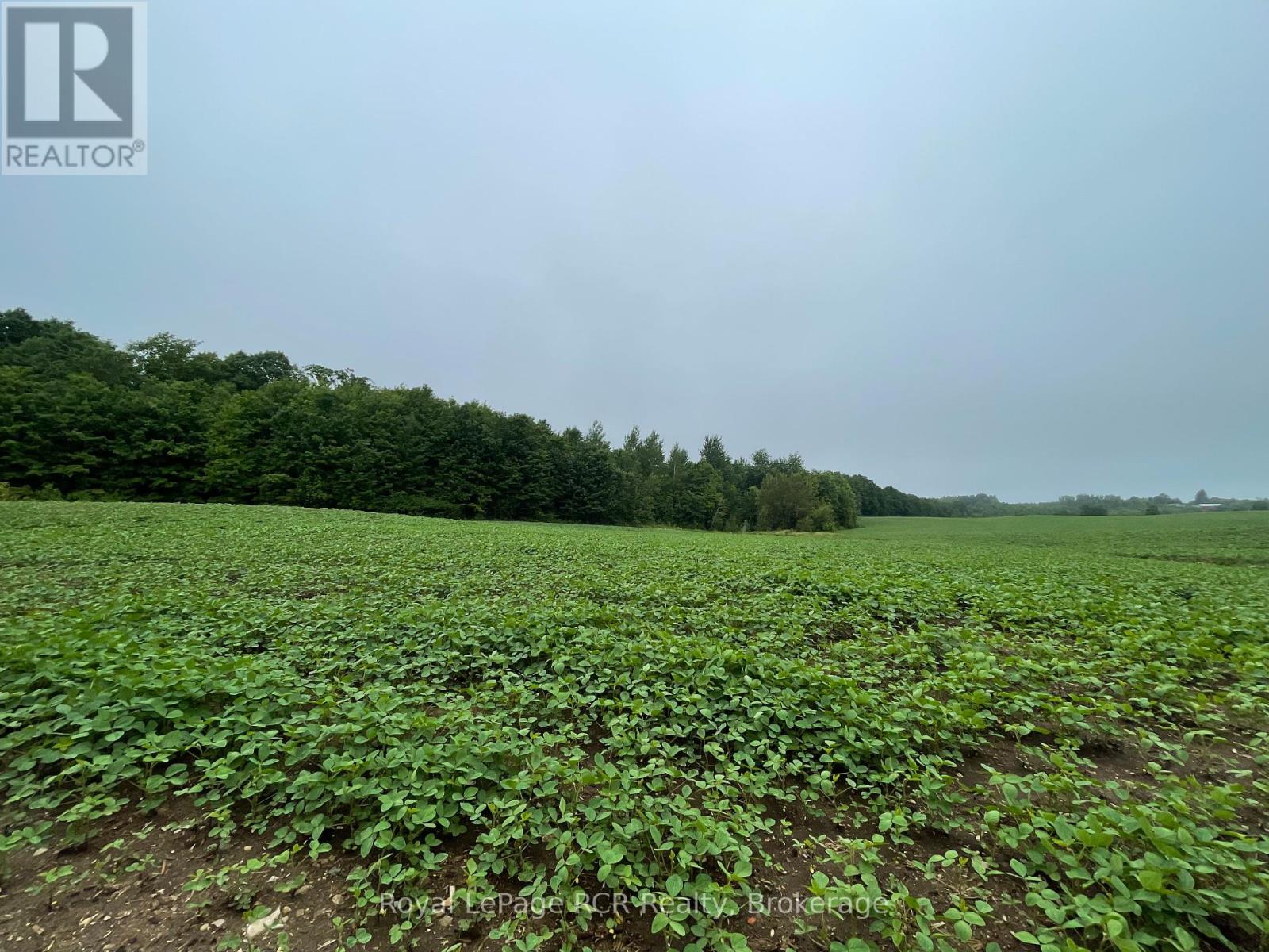 714261 Baseline Rd, Grey Highlands, ON N0C 1E0