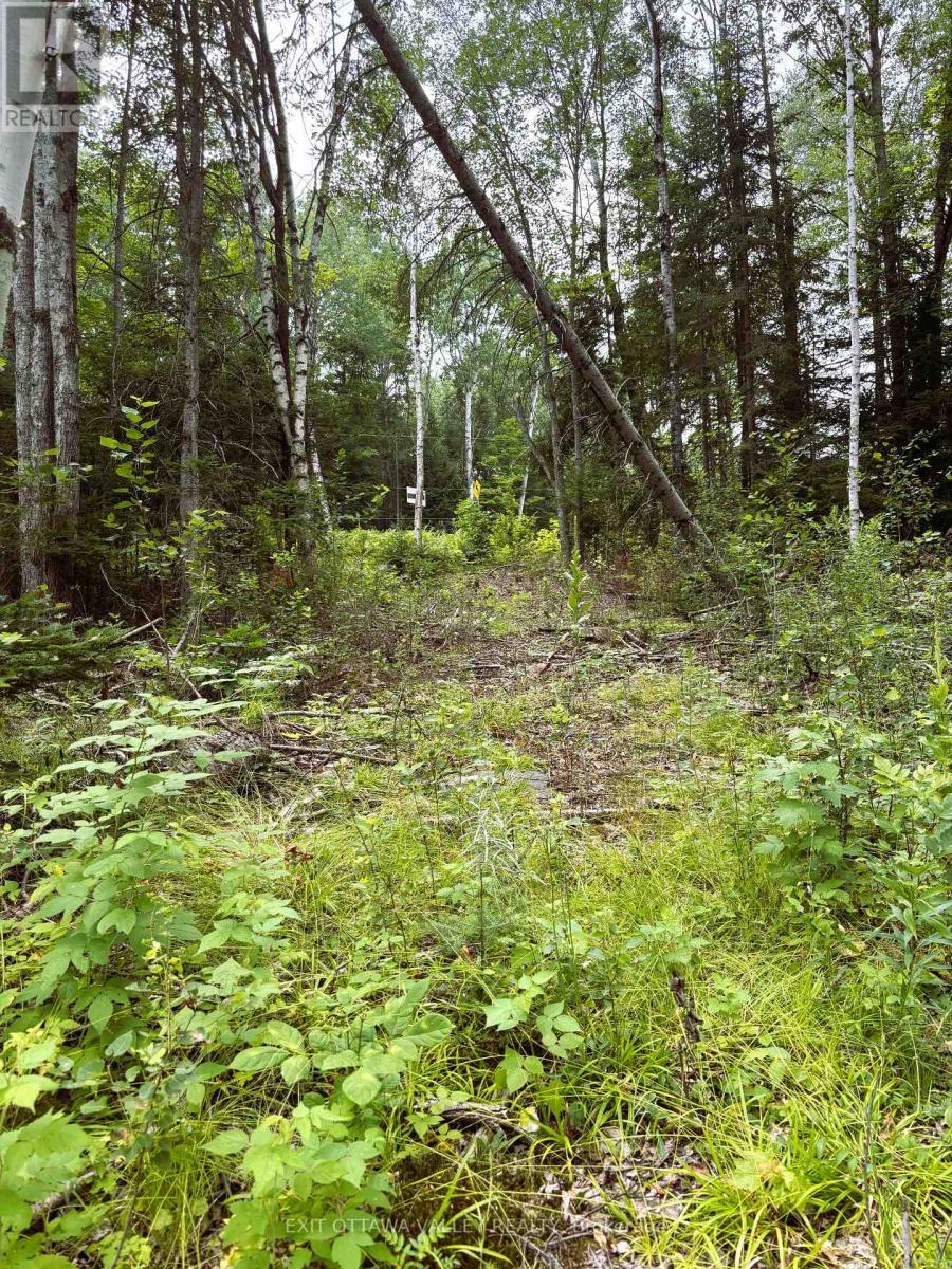 001 Siberia Rd, Madawaska Valley, ON K0J 1B0