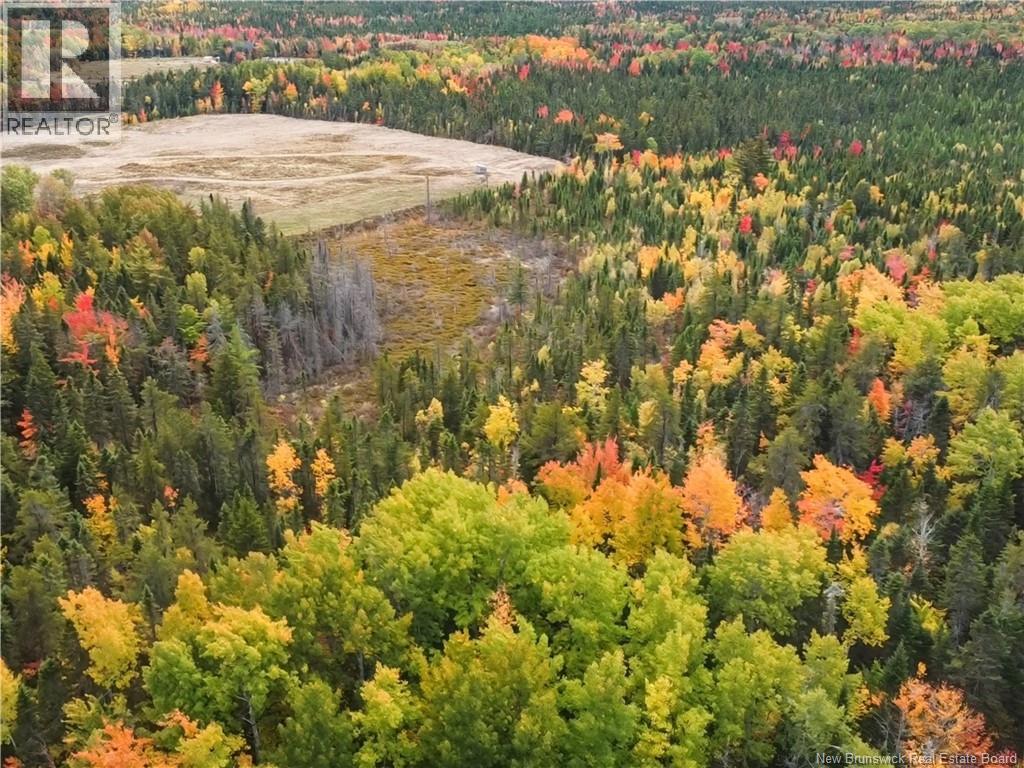 867 Pine Glen Rd, Riverview, NB E1J 1R7