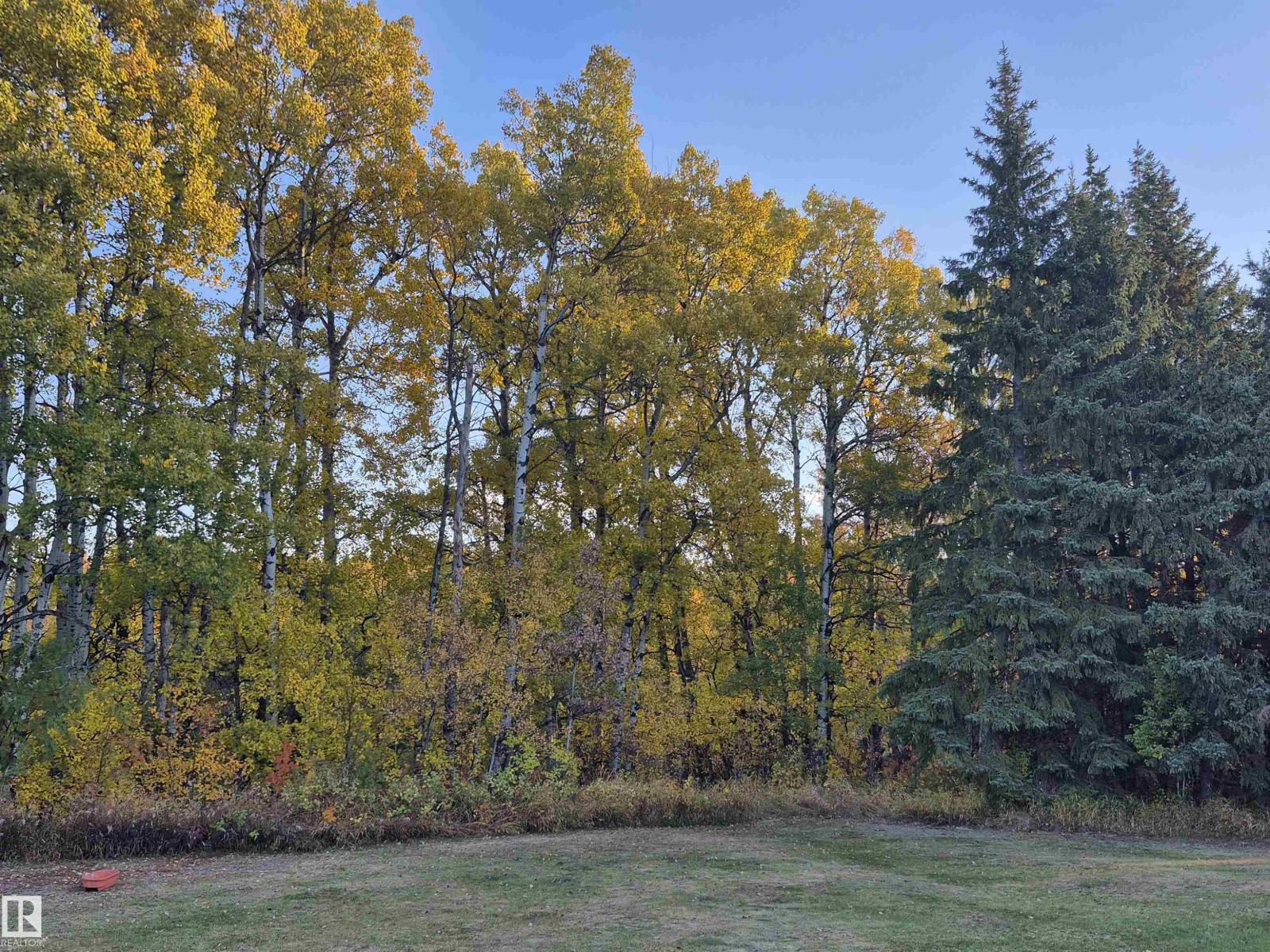 53 Av Unit 4815, Viking, AB T0B 4N0