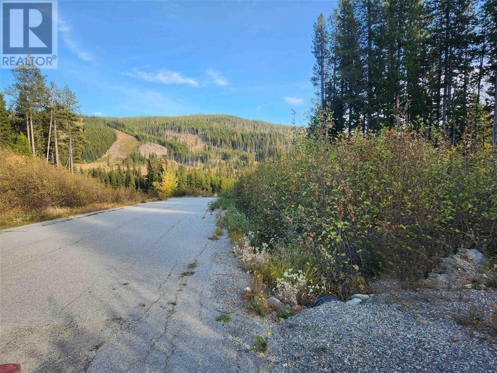 Buck Road, Mount Baldy, BC V0H 1T8