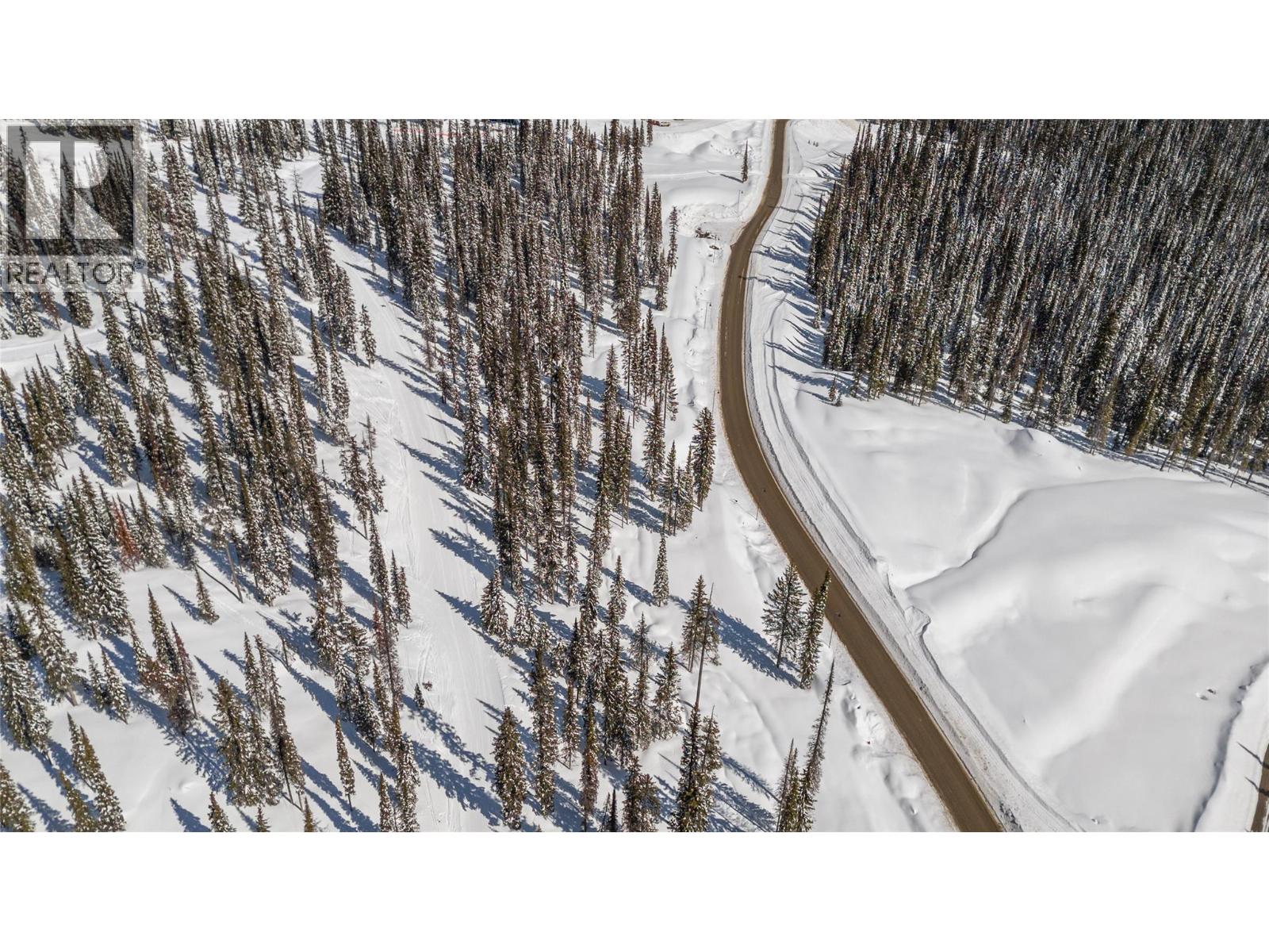 4 Black Forest Road Lot Apt 4, Big White, BC V1P 1P3