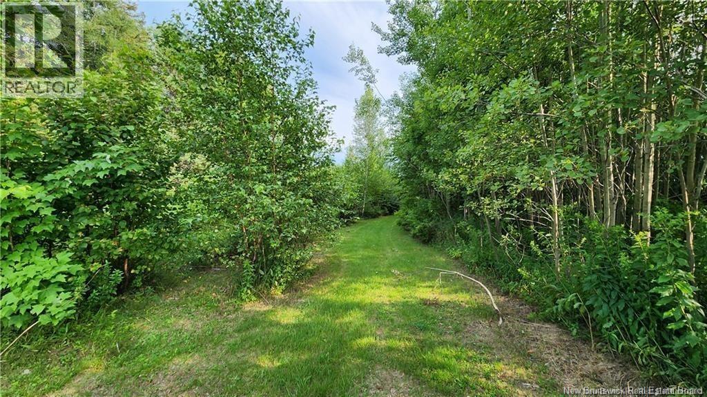 6 Acres Rue Pinet Unit 7, Bertrand, NB E1X 1L3