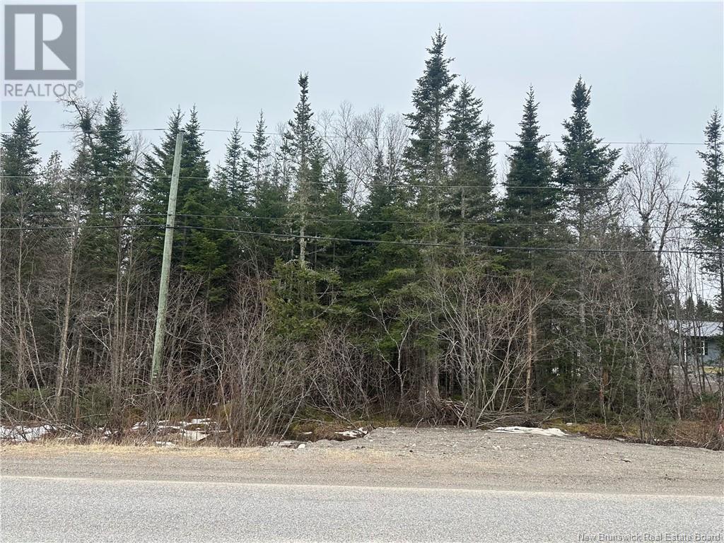 Lot 845 Route, Carters Point, NB E5S 0A5