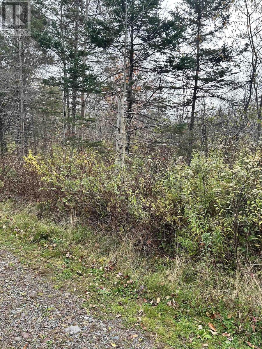 8 Lot 8 Guysborough Road Rd, St Andrewaposs, NS B0H 1X0