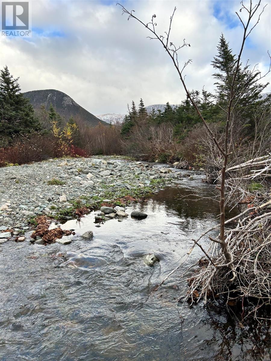 01 Old Tch Rd, Campbells Brook, NL A0N 1J0
