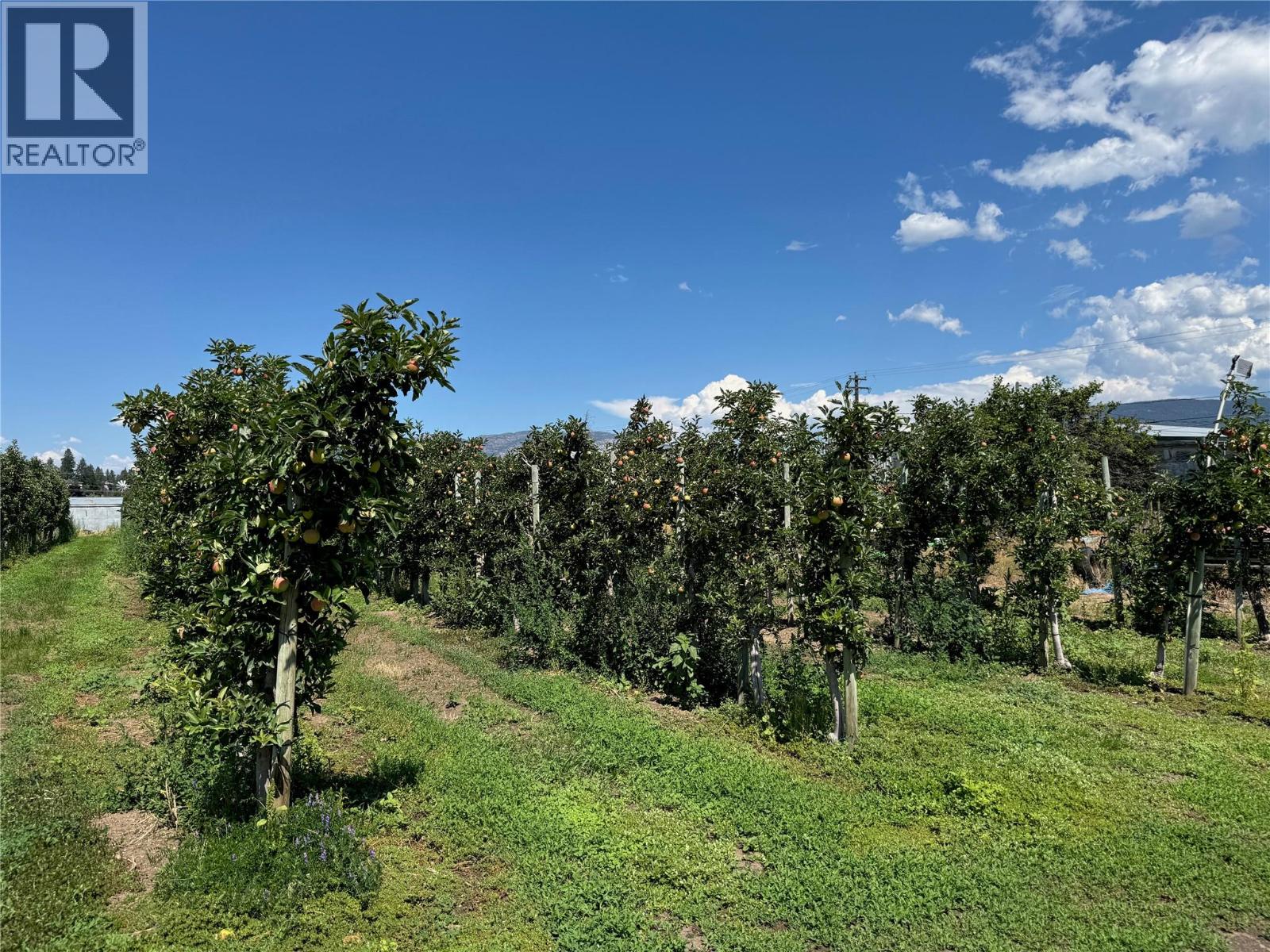 9105 Jones Flat Rd, Summerland, BC V0H 1Z6