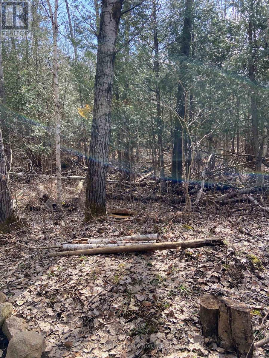 N/a Chelsea Lane, Algonquin Highlands Stanhope, ON K0M 1J0