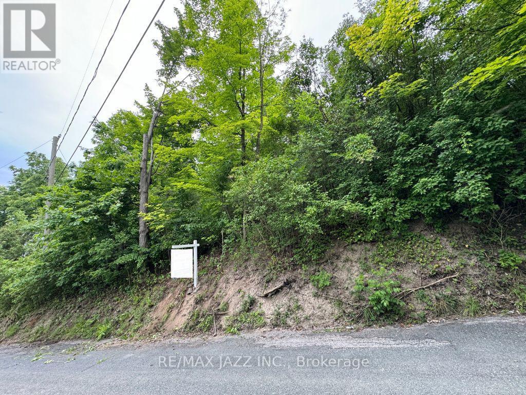 0 Maple St, Trent Hills Campbellford, ON K0L 1L0