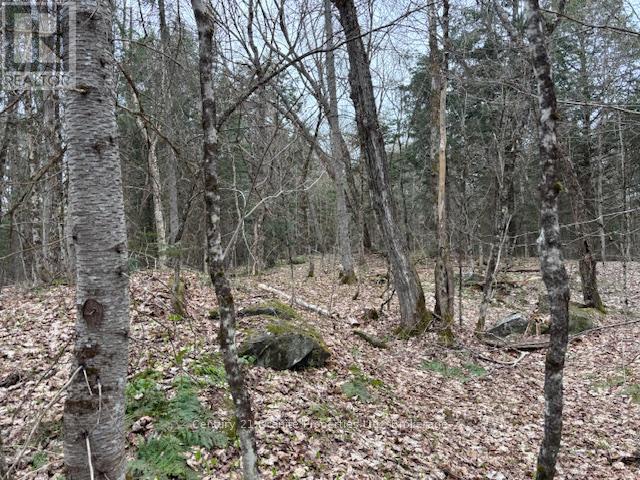 2 Loch Erne Rd, Mcdougall, ON P2A 2W7