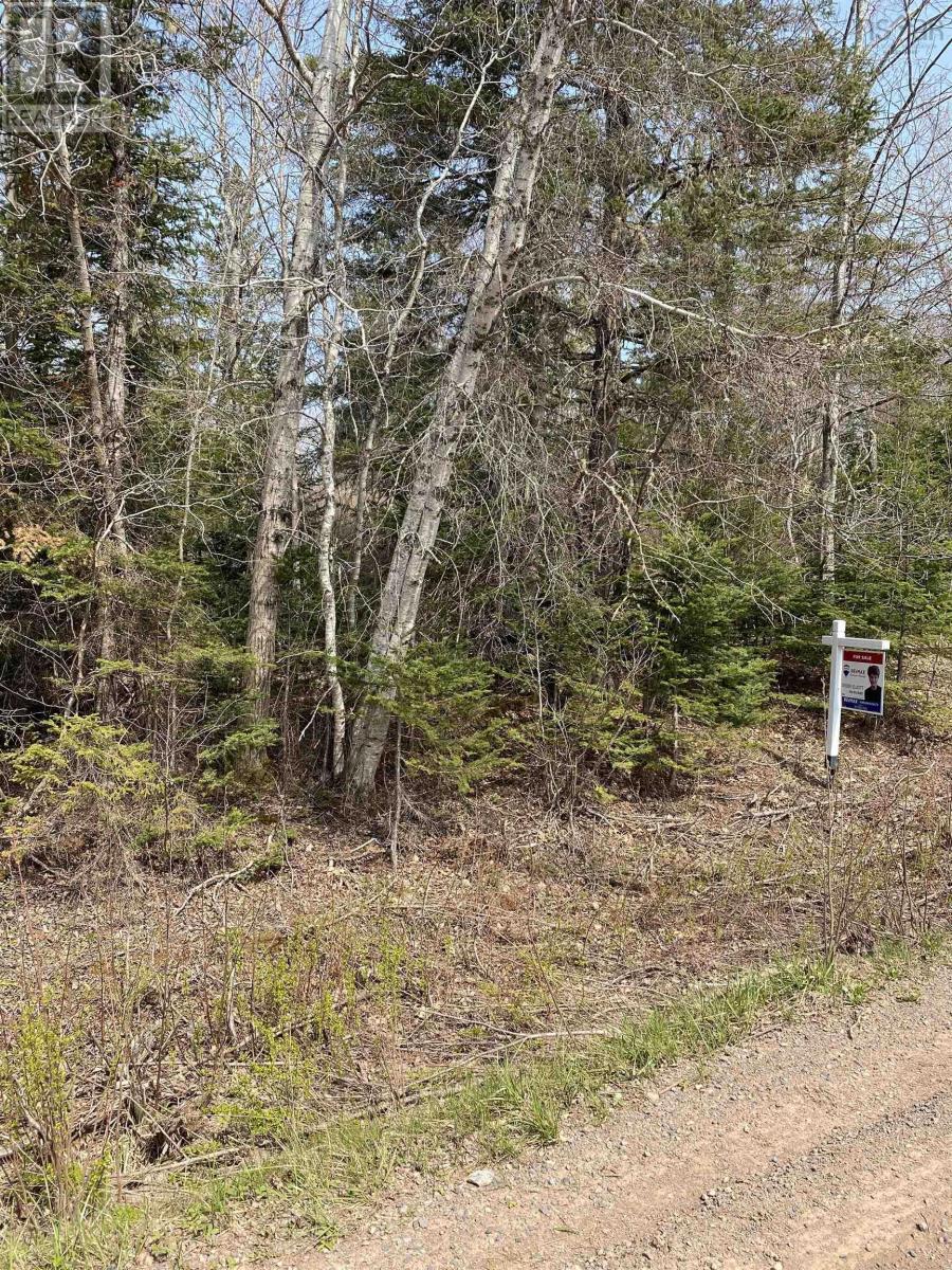 Hunter Road, Lower Wentworth, NS B0M 1Z0