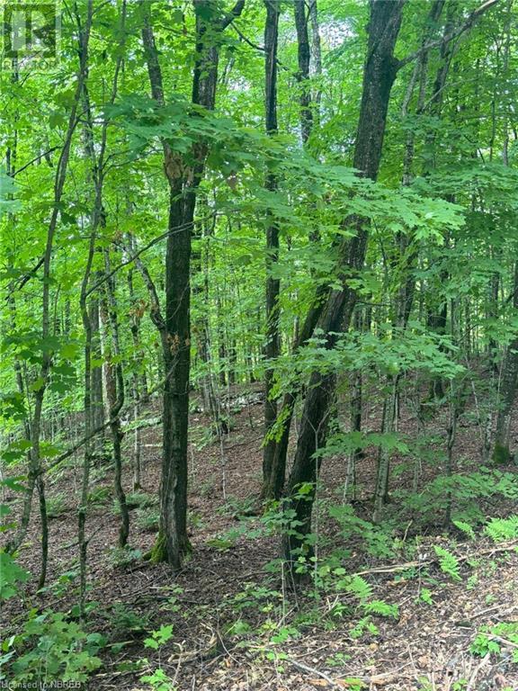 Part 5 Limberlost Point Road, Restoule, ON P0H 2R0 MLS 40624949