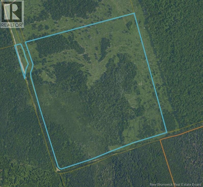 Lot Tingley Road, Caledonia Mountain, NB E4H 1C3