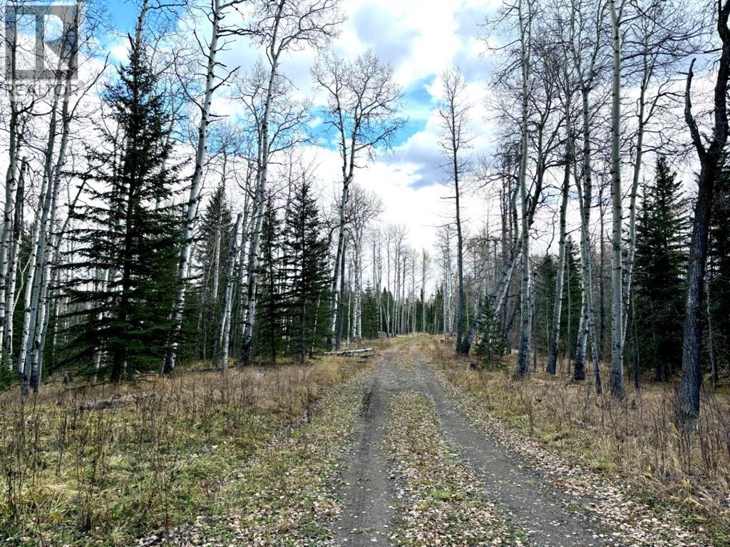 32521 Range Rd 72, Sundre, AB T0M 1X0