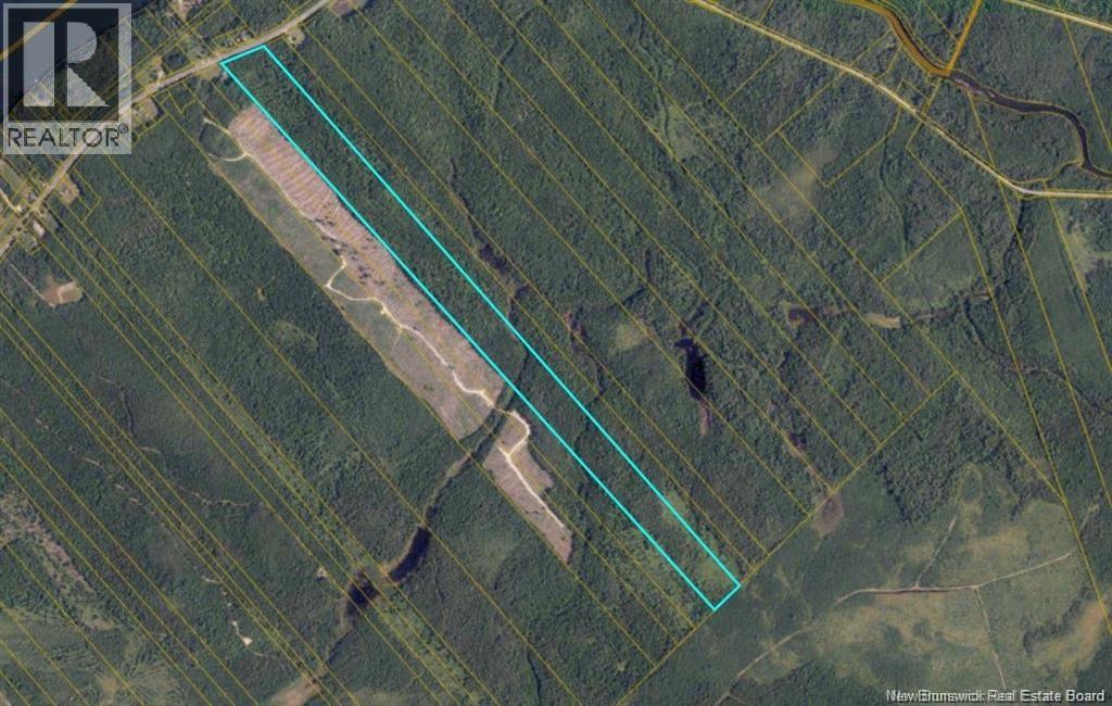 Woodlot Route 118, Chelmsford, NB E9E 2H2