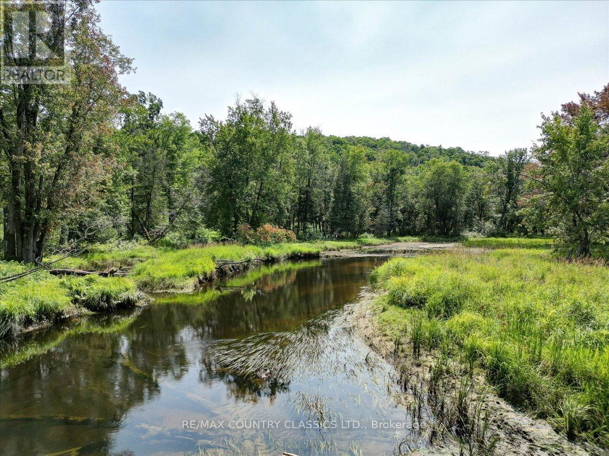 0 N Rusaw Rd, North Kawartha, ON K0L 1A0