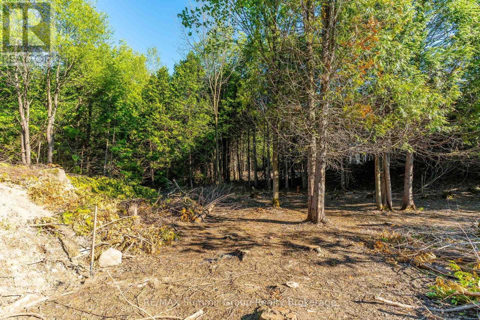 15 Confederation Drive, Chatsworth, ON N0H 1R0