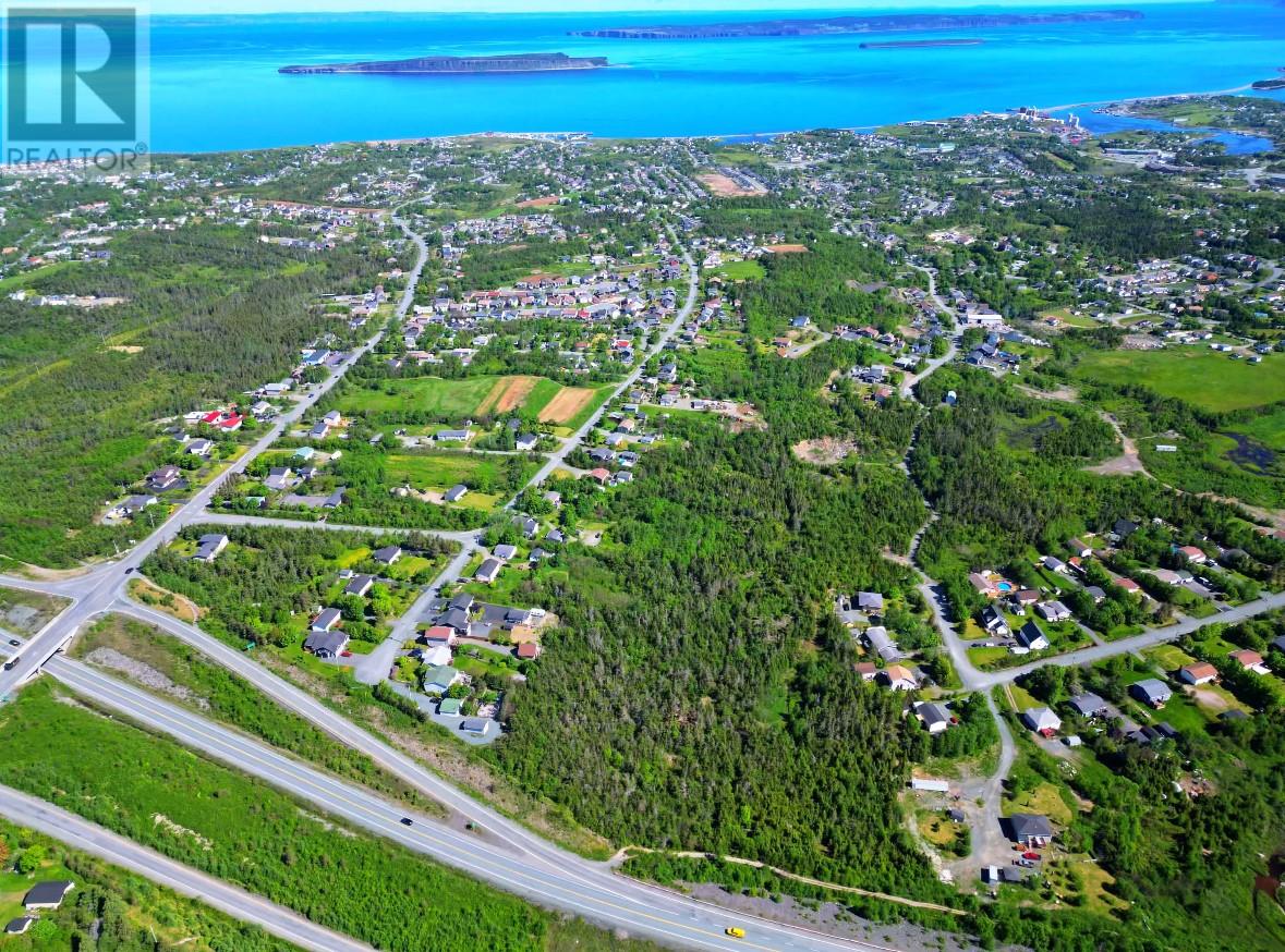 221 Peachytown Rd, Conception Bay South, NL A1X 7C6