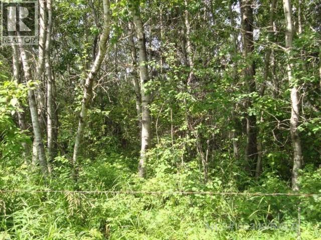 Parcel E Marie Hanson Rd, Brightsand Lake, SK S0M 0H0