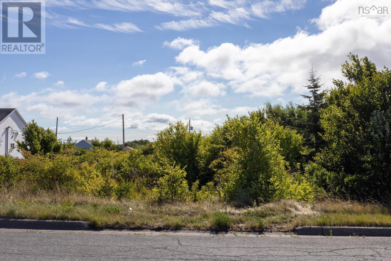 324 Convent St, New Waterford, NS B1H 2Z1