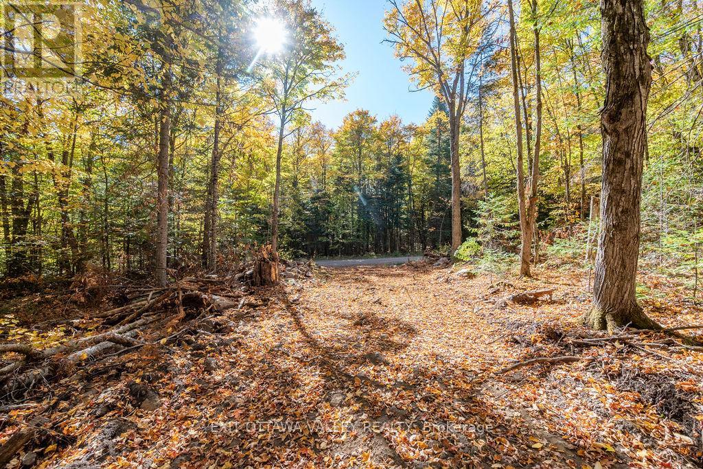 1000 Rosien Rd, Bonnechere Valley, ON K0J 1T0
