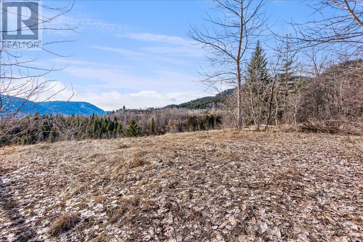 1220 37 Street, Castlegar, BC V1N 3N1