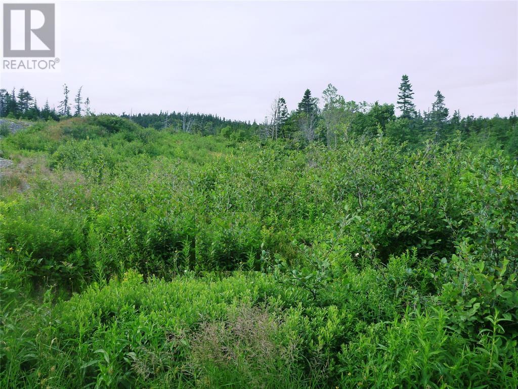 2 Snows Pond Rd #-4, North River, NL A0A 3C0