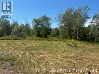 4021 Route 690, Newcastle Creek, NB E4B 2K8