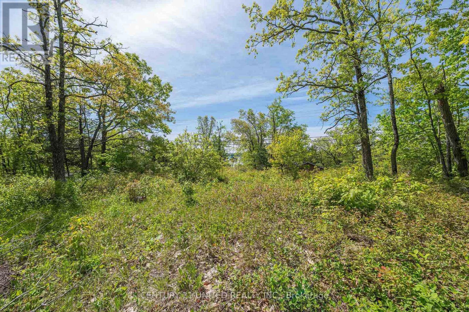 0 Northeys Bay Rd, North Kawartha, ON K0L 2H0
