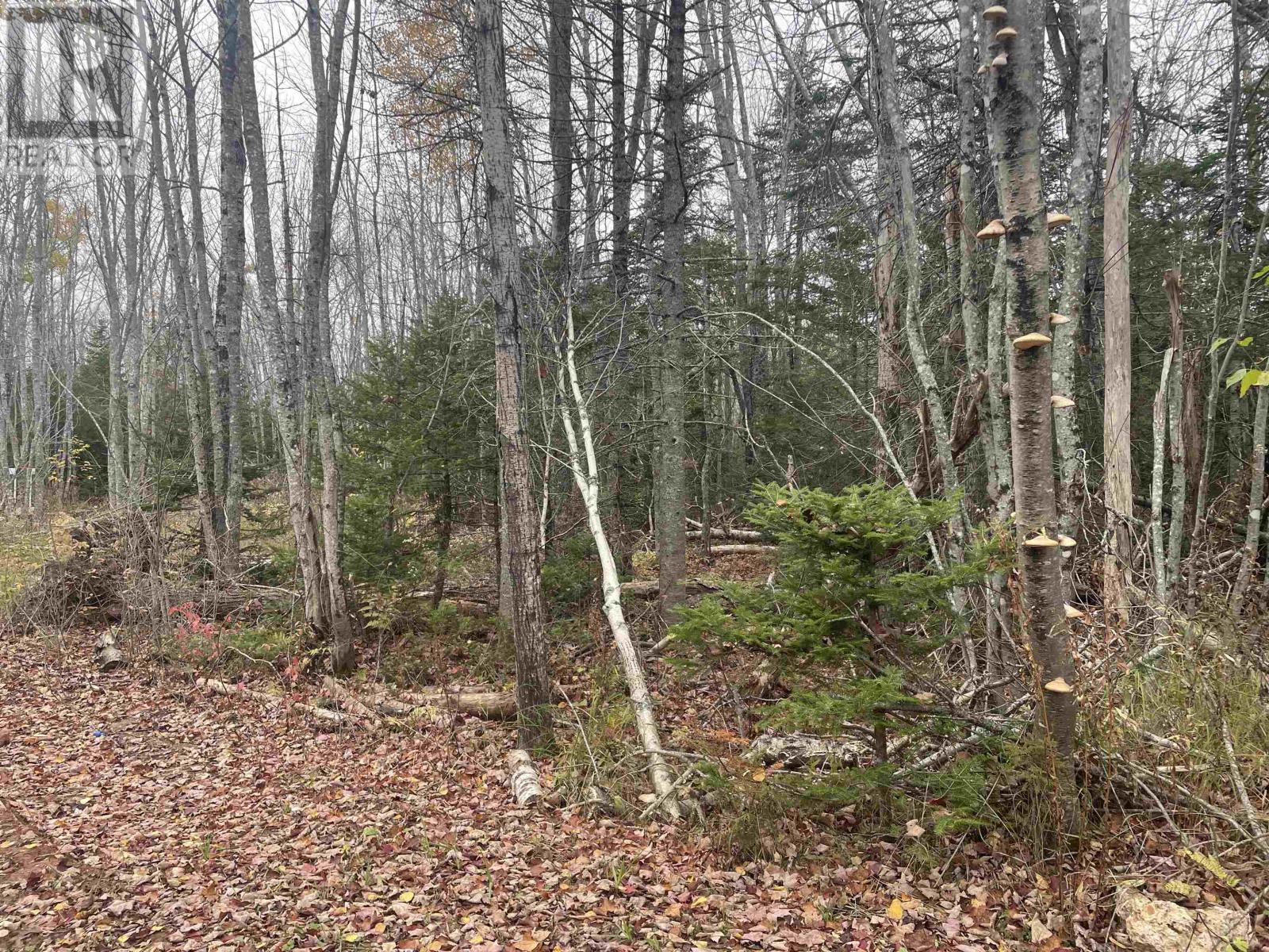 122 Allen Rd, South West Lot 16, PE C0B 1T0